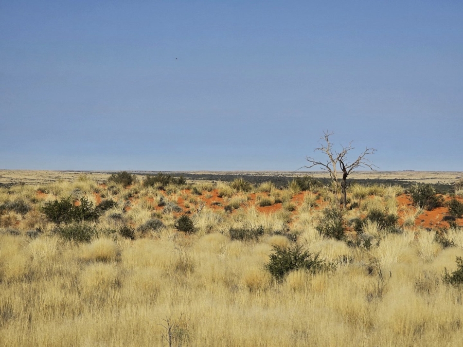 Commercial Property for Sale in Kenhardt Northern Cape